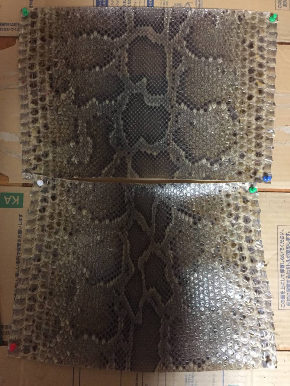 三線-えぞ三弦販売三線クオレ三線工房えぞ三弦　　皮張りも致します☆
