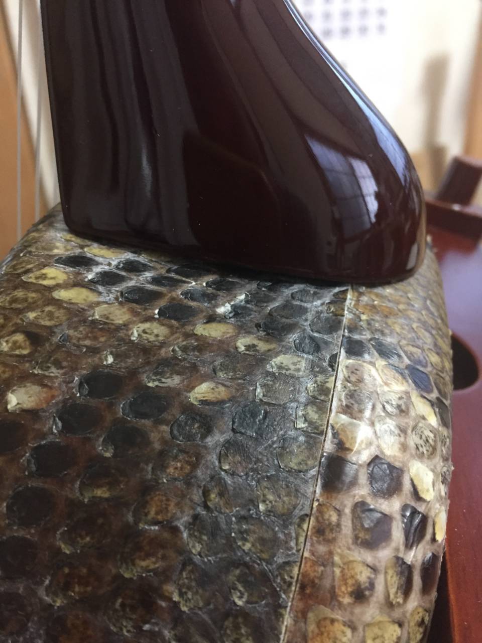 三線-えぞ三弦販売三線クオレ三線工房えぞ三弦　　皮張りも致します☆〜部当てィ